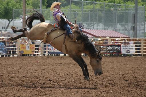 Saddle Bronc Riding