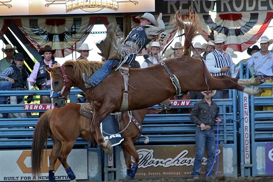 Bareback Riding